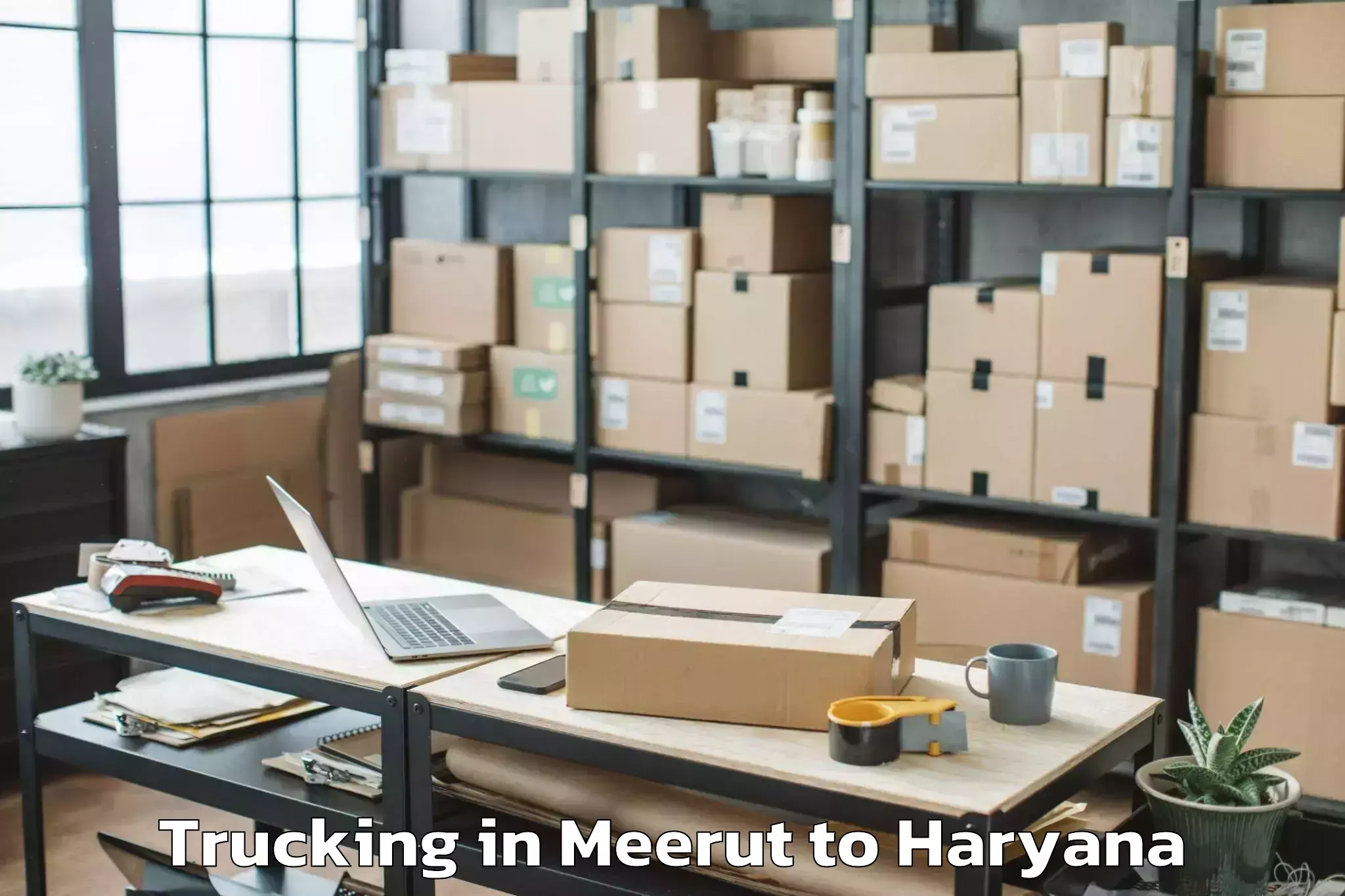 Affordable Meerut to Haryana Trucking